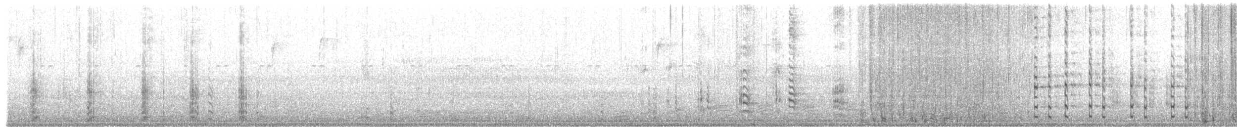 Common Gallinule - ML407936561