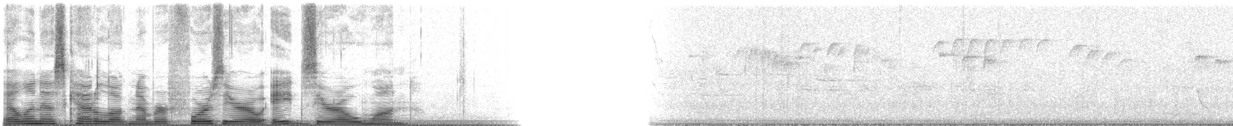 Song Sparrow - ML40801