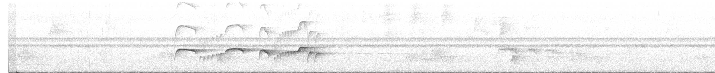 Atlantik Karınca Tiranı - ML408090521