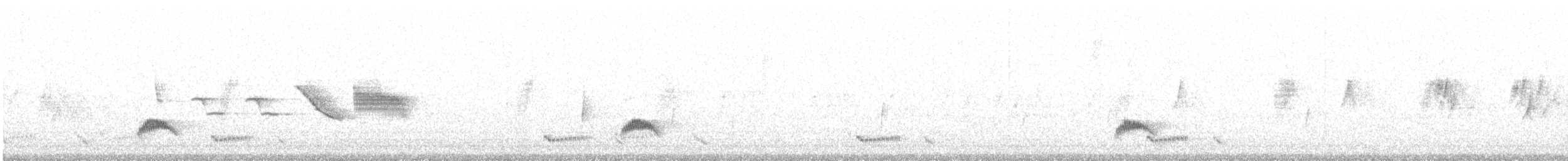 White-crested Elaenia (Chilean) - ML408092071