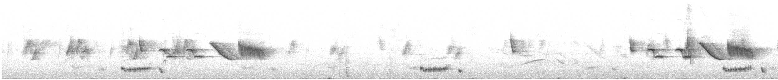 holoubek černokřídlý - ML408092621
