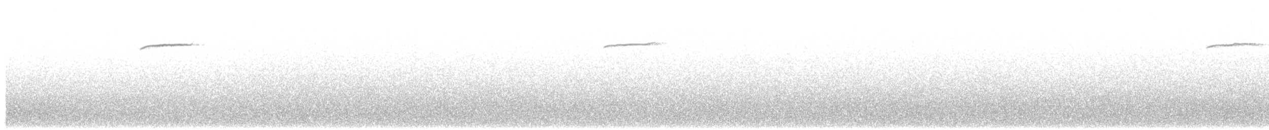 Kıvrık Gagalı Kolibri - ML408118241
