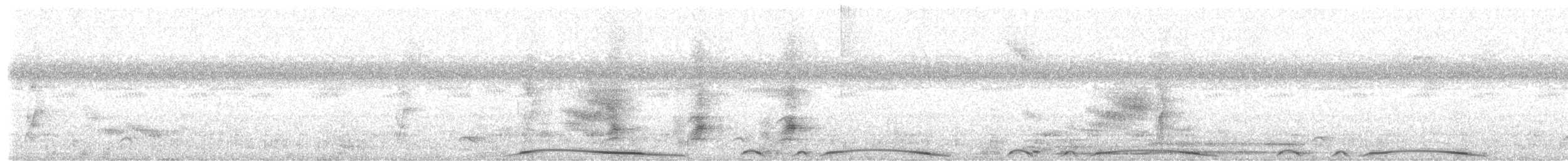 holub neotropický - ML408146861