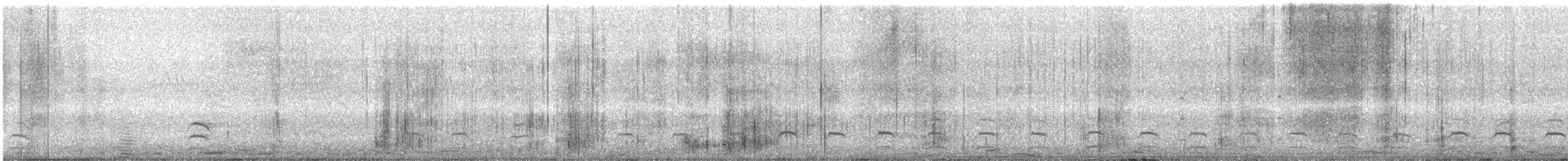 afrikabladhøne - ML408194221