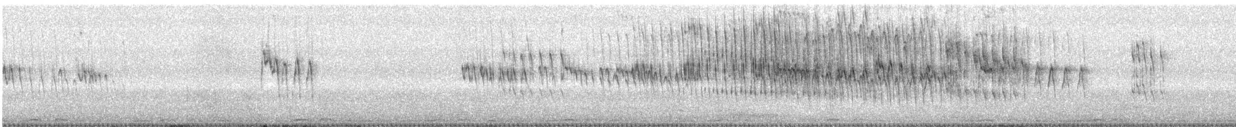 afrikapalmeseiler - ML408196691