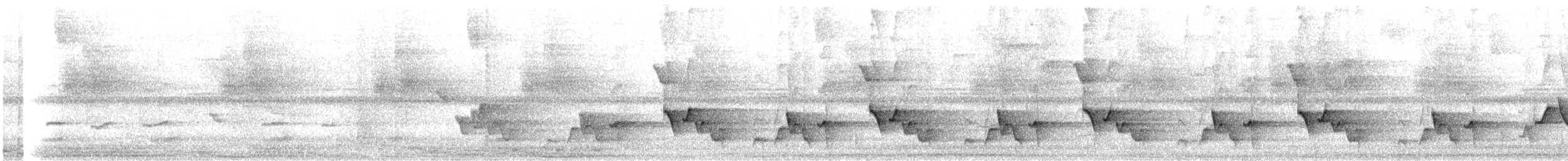 Troglodyte à poitrine grise (bangsi) - ML408246011