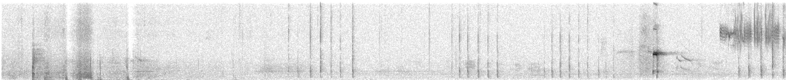 Дятел-смоктун білочеревий - ML408284501