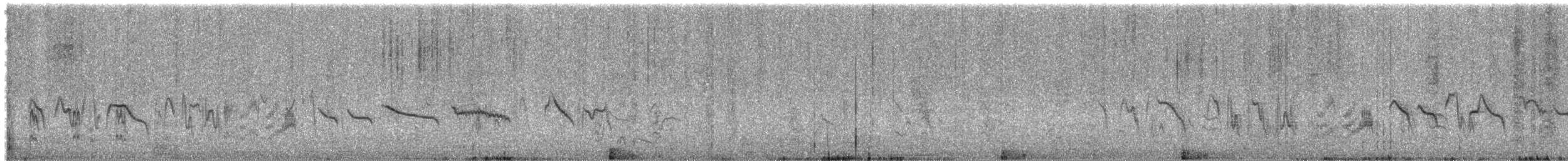 Red-tailed Shrike - ML408557551