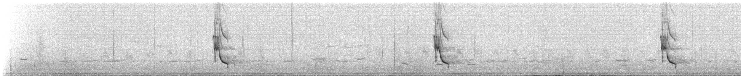 Dunkelameisenpitta - ML408566841