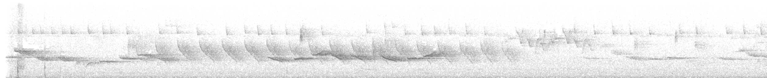 Spot-throated Babbler - ML408733571
