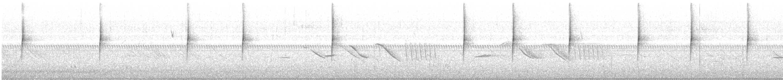 Трясохвіст білокрилий - ML408747841