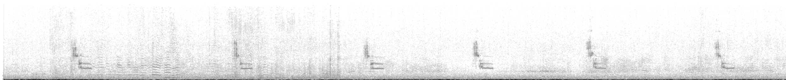 ťuhýk šedý [skupina elegans] - ML408903891