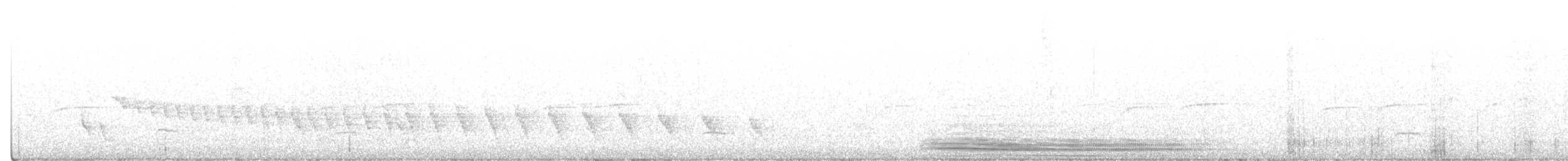 White-bellied Antbird - ML408924281