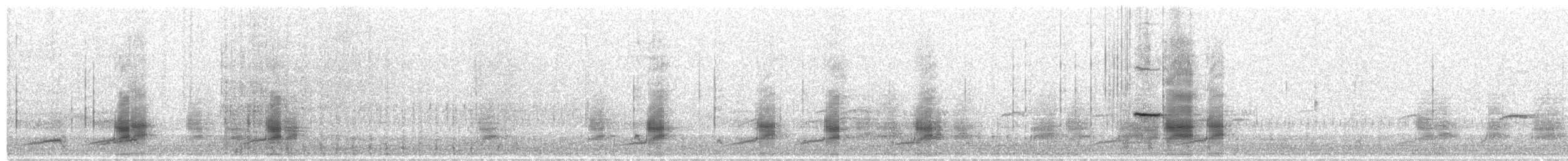 Schnatterente - ML408927811