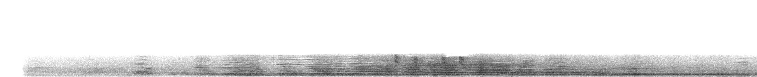 Clapper Rail - ML409097991