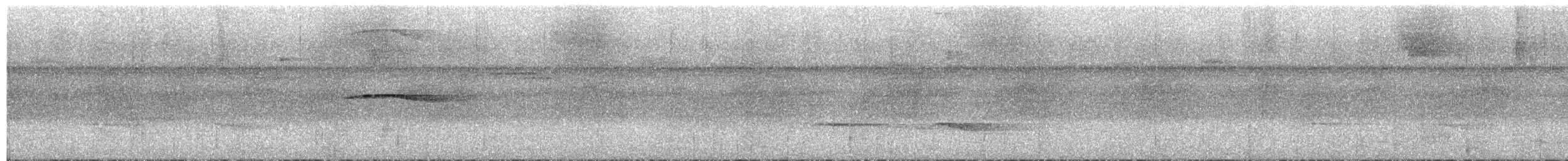 Tinamou de Berlepsch - ML409108321