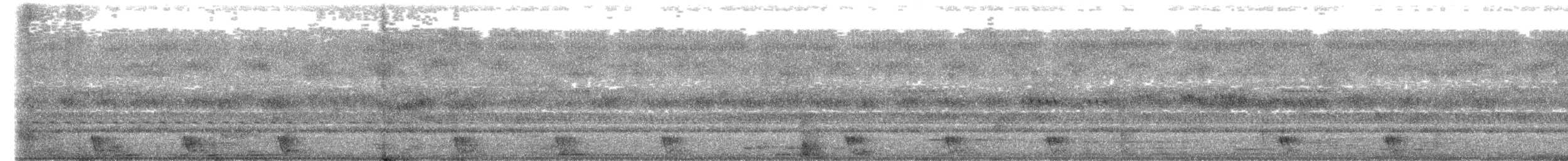 Large-tailed Nightjar - ML409126881