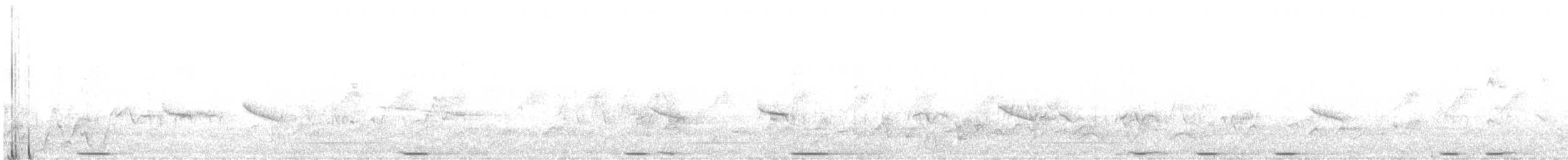 Tambourine Dove - ML409162011