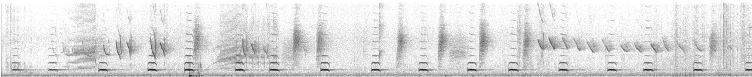 kulíšek mexický (ssp. gnoma) - ML409481041