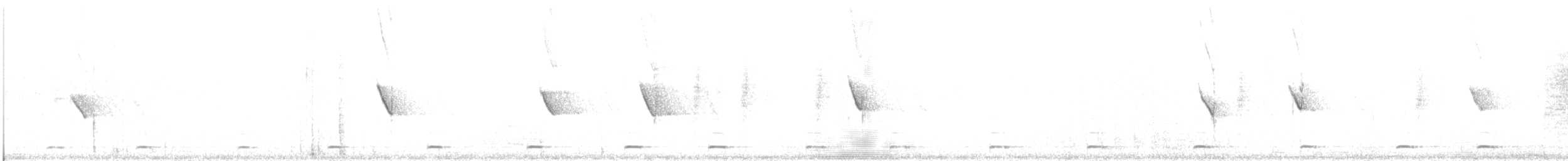 kulíšek mexický (ssp. gnoma) - ML409481361