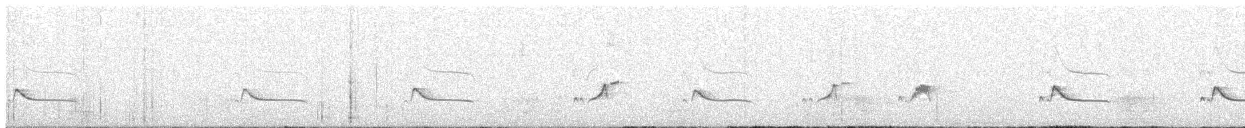 Say's Phoebe - ML409487621