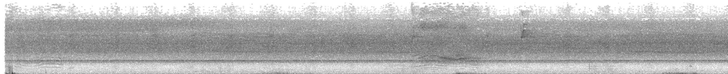 Spotted Catbird - ML409511301
