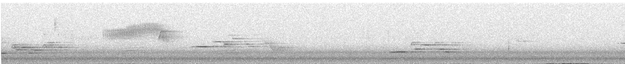 Дрізд-короткодзьоб плямистоволий - ML409573071
