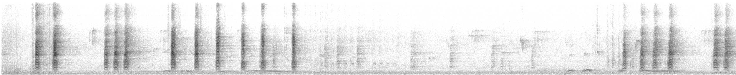 キバナシマセゲラ（aurifrons） - ML409581031