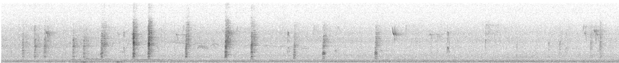 Goldstirnspecht (aurifrons) - ML409581351