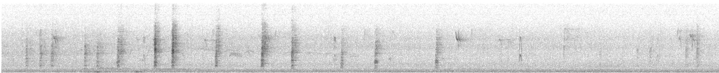 mesquitespett (aurifrons) - ML409581351