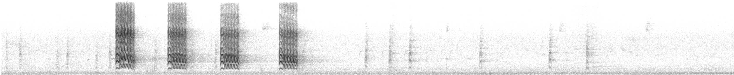 mesquitespett (aurifrons) - ML409582421