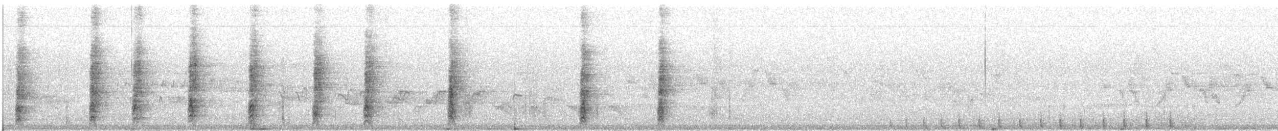 キバナシマセゲラ（aurifrons） - ML409583721