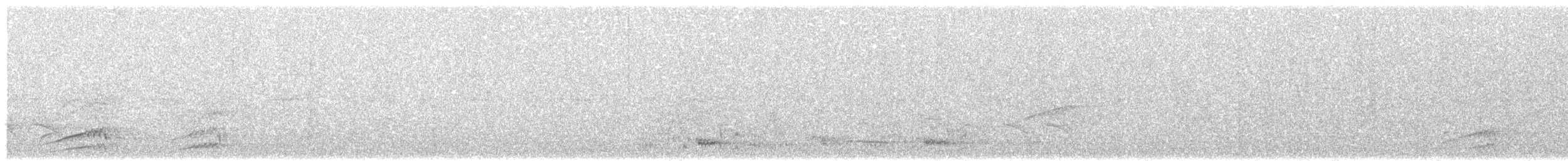 ヒスパニオラガラス - ML409589941