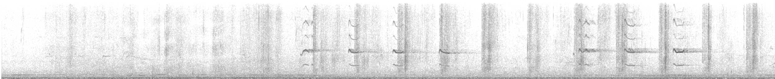 Chorlitejo Culirrojo - ML409598761