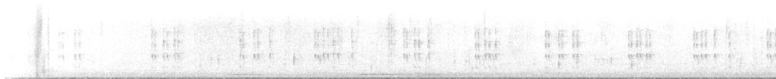 フユミソサザイ - ML409782421