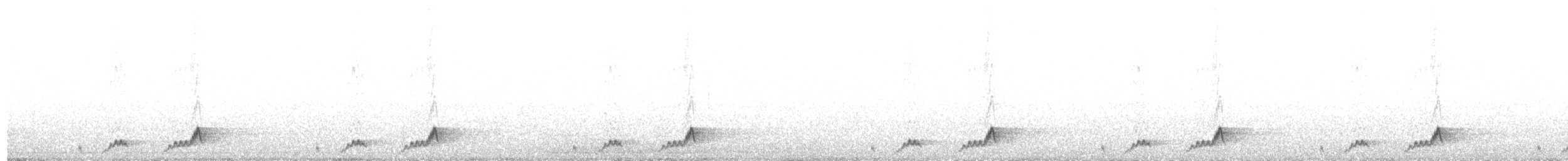 Mexikonachtschwalbe - ML40992151