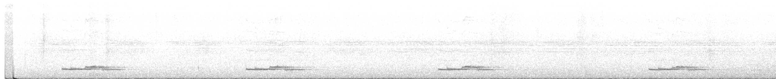 Long-tailed Manakin - ML410328711