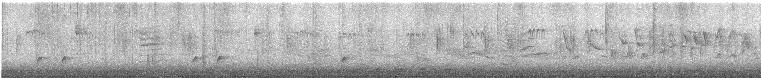 Greater Pewee - ML410341091