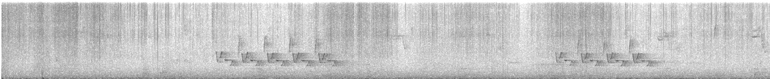 Поплітник каролінський - ML410367551