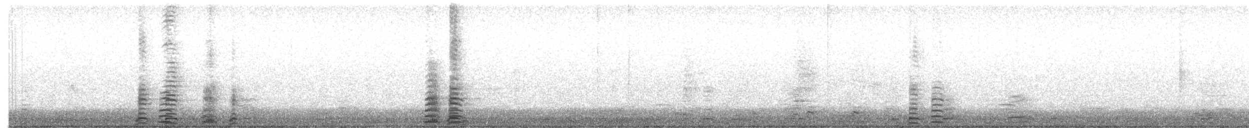 Cisne Trompetero - ML410389901