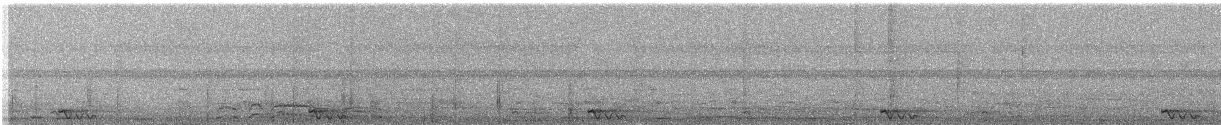 Chotacabras Marajá - ML410400891