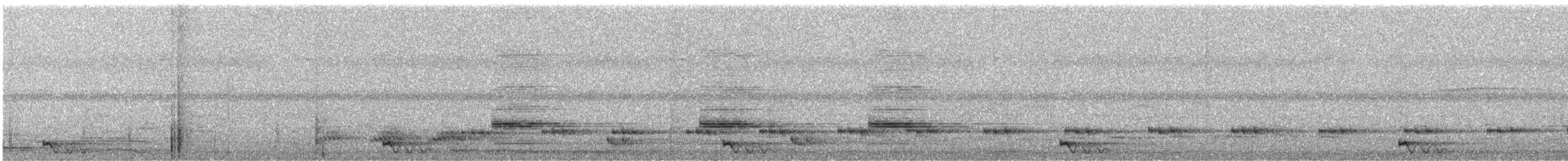Chotacabras Marajá - ML410400901