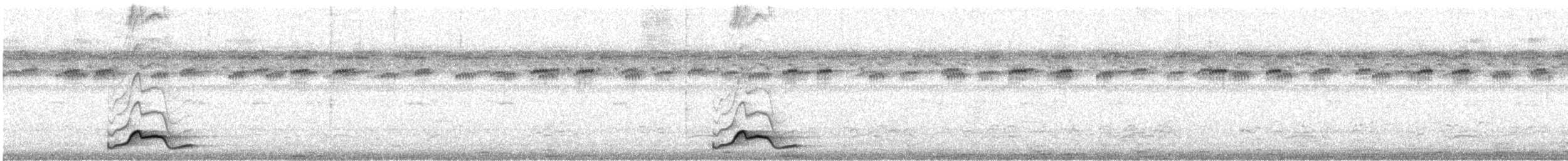 Common Pauraque - ML410429821