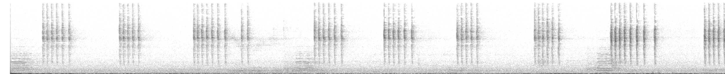 Troglodyte à poitrine blanche - ML410444781