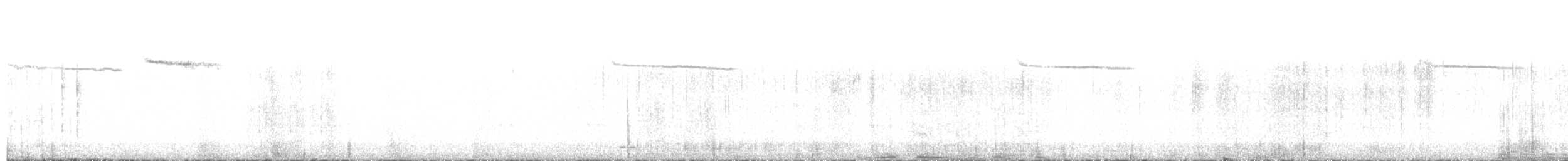 Шиферка гостродзьоба - ML410454931