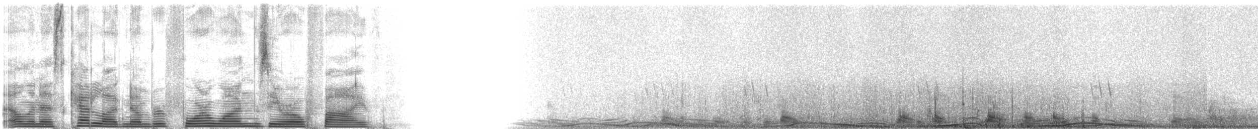 Common Eider - ML4105