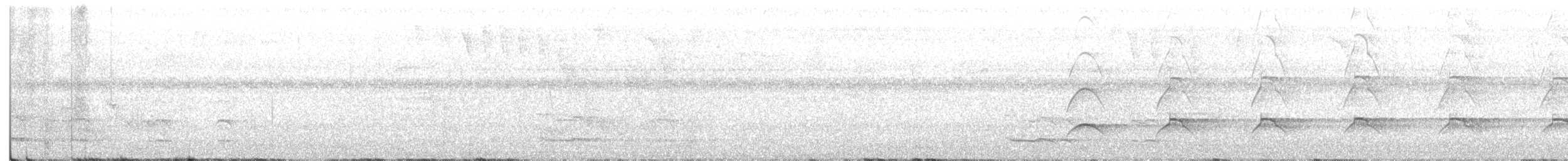 Орел-чубань рудошиїй - ML410511611