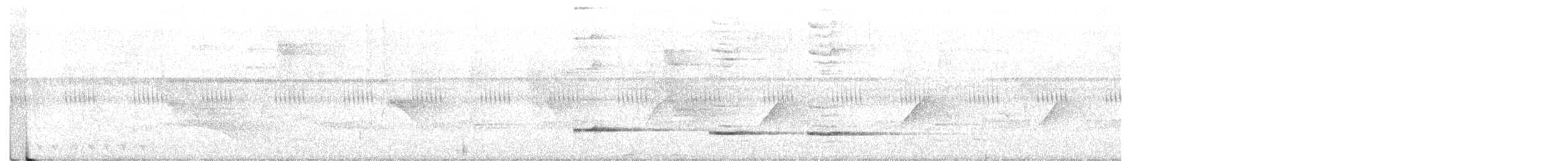Graubrust-Ameisendrossel - ML410512151