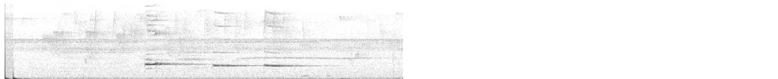 Graubrust-Ameisendrossel - ML410512301