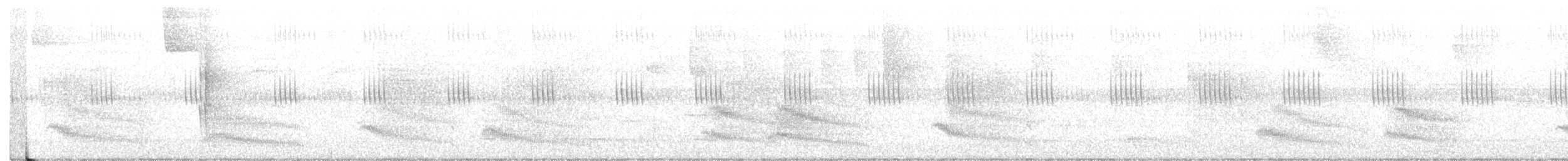 Weißkehl-Ameisenvogel - ML410513231